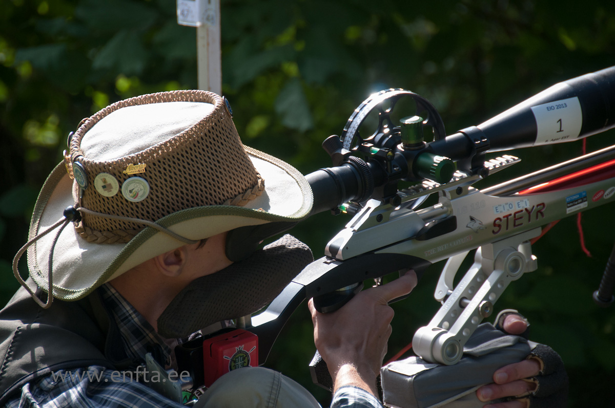 Romi Agar EE, Steyr LG 110 Field Target, Nikko Stirling Diamond 10-50x60